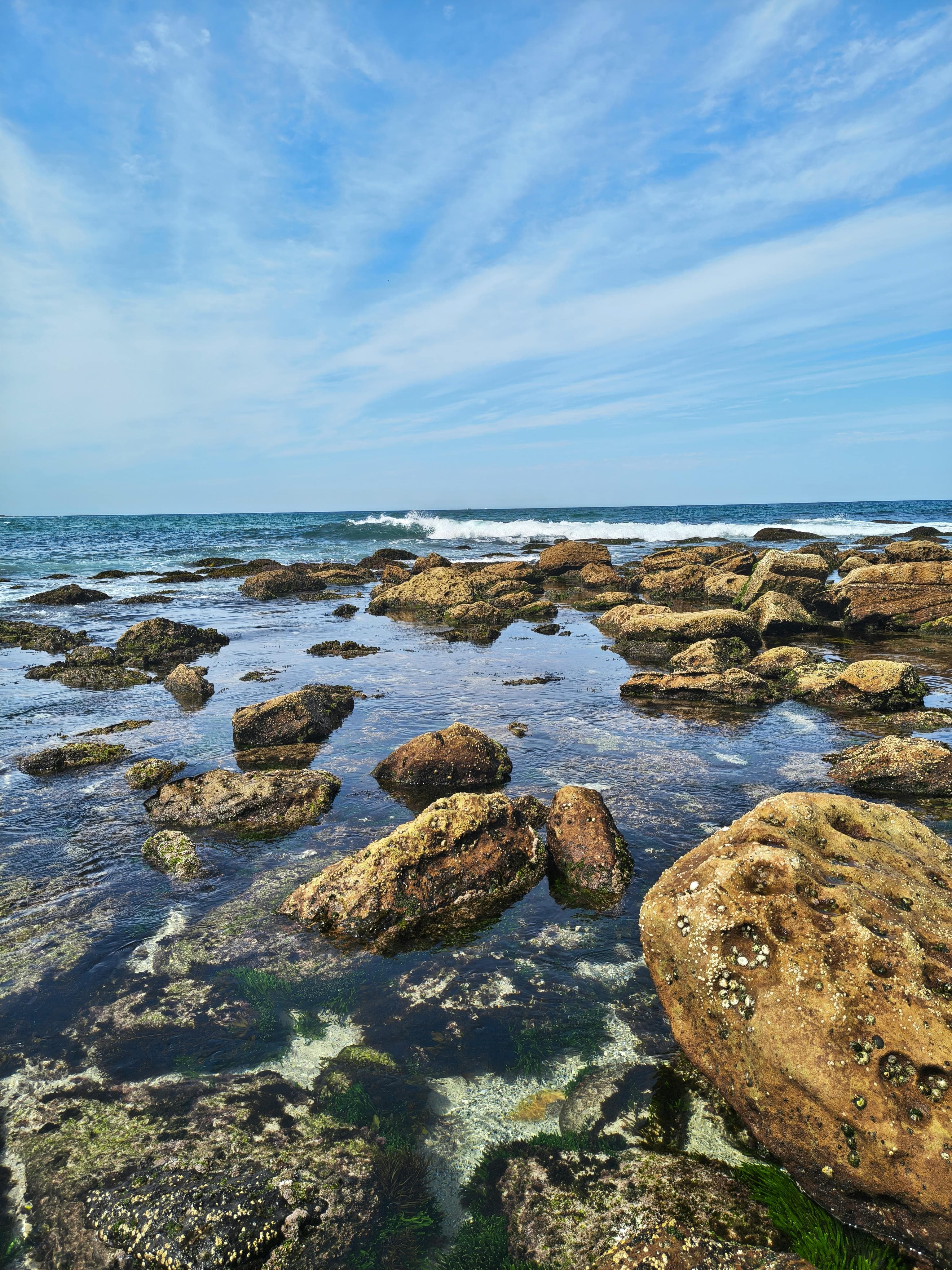 #kaphadosha #tierra #agua #pesadez #empatía